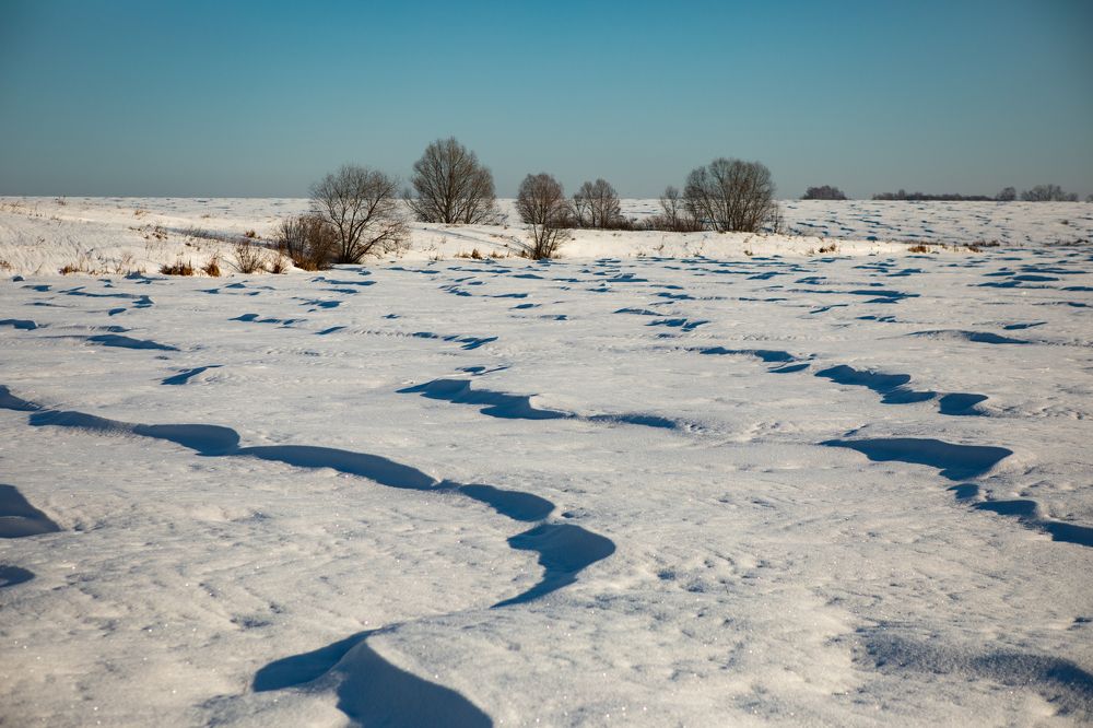 Photograph by Ольга Гаврилова