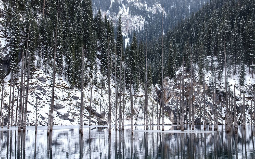 Photograph by Evgeniy Savikov