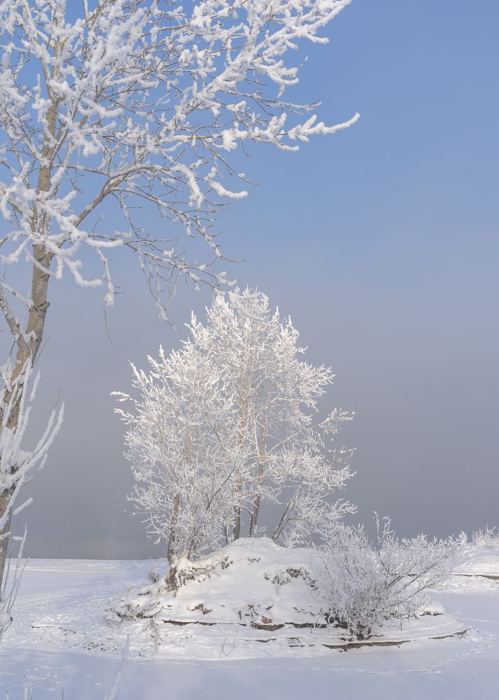 Photograph by Екатерина Дубровская
