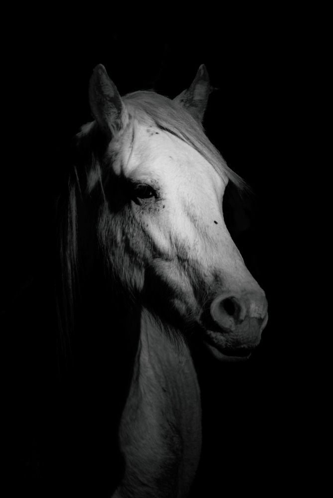 Photograph by Silvina Sánchez