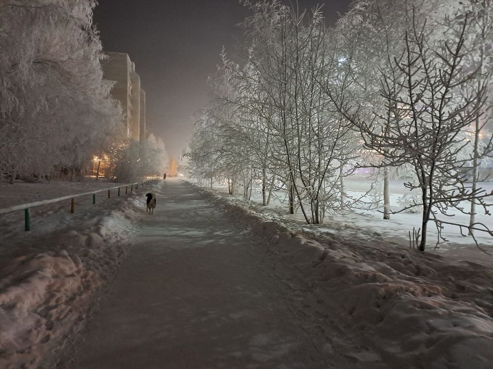 Приполярная сказка