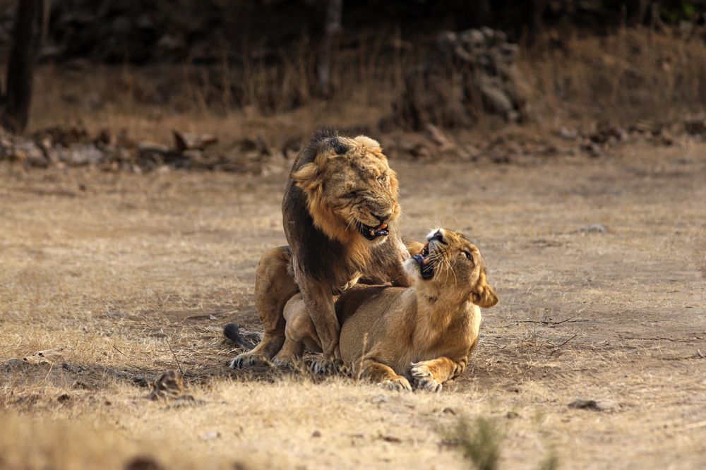 Photograph by SATRAJIT DUTTA