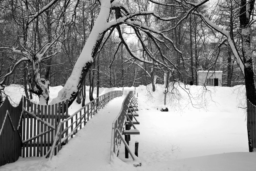 Photograph by Дмитрий Дулин