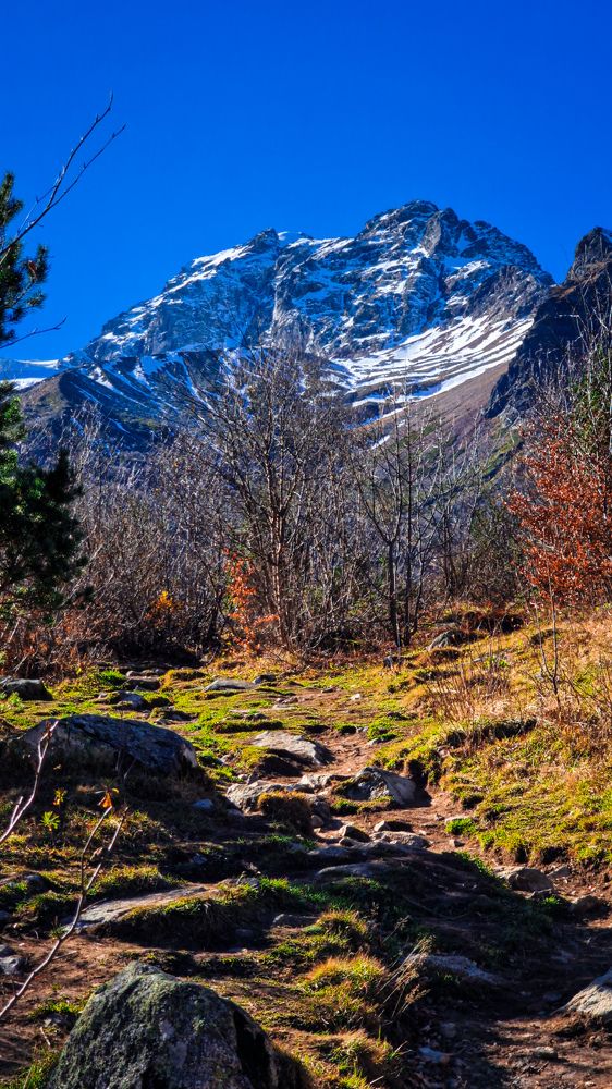 Фотография автора Всеволод Юрша