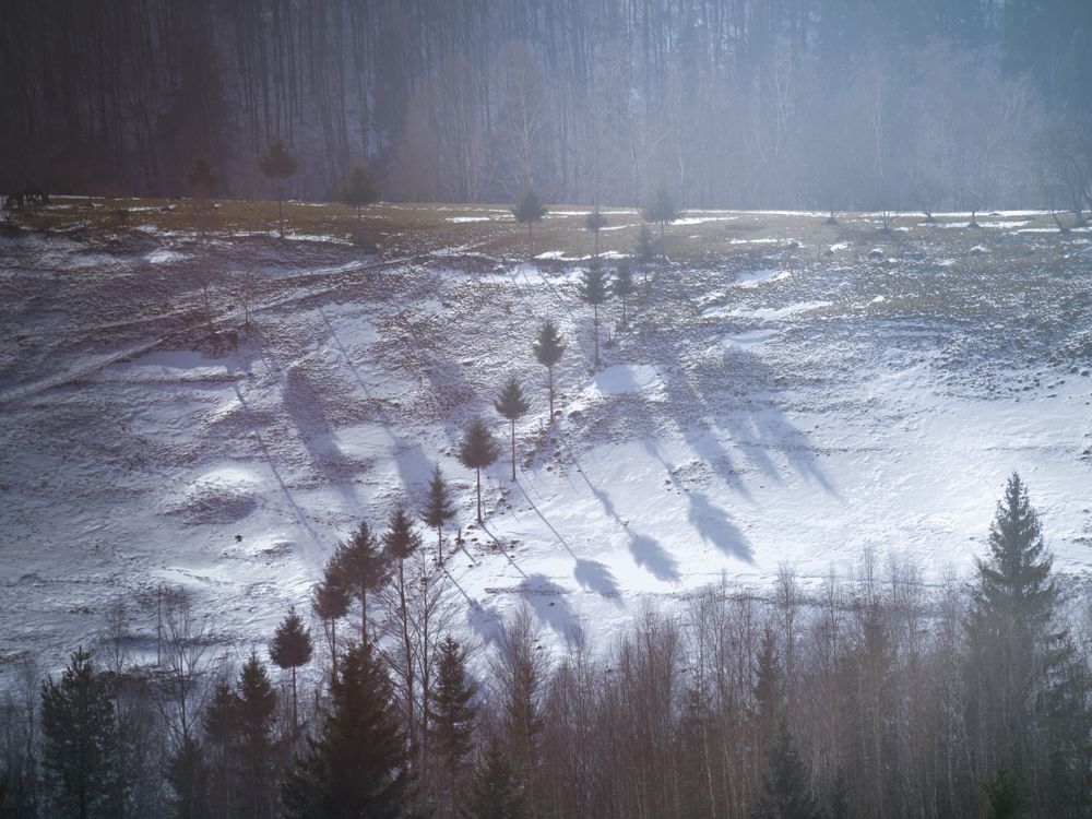 Фотография автора Ceausescu Adriana