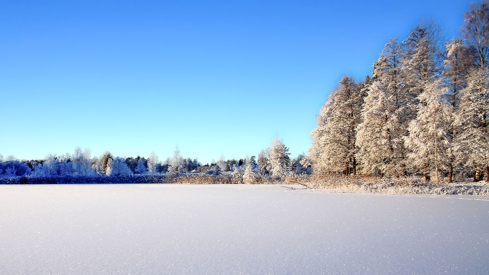 Краса неземная