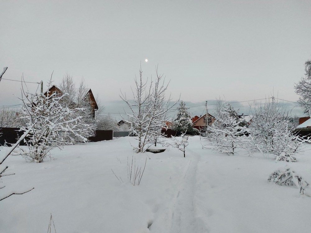 Photograph by Елена Царёва