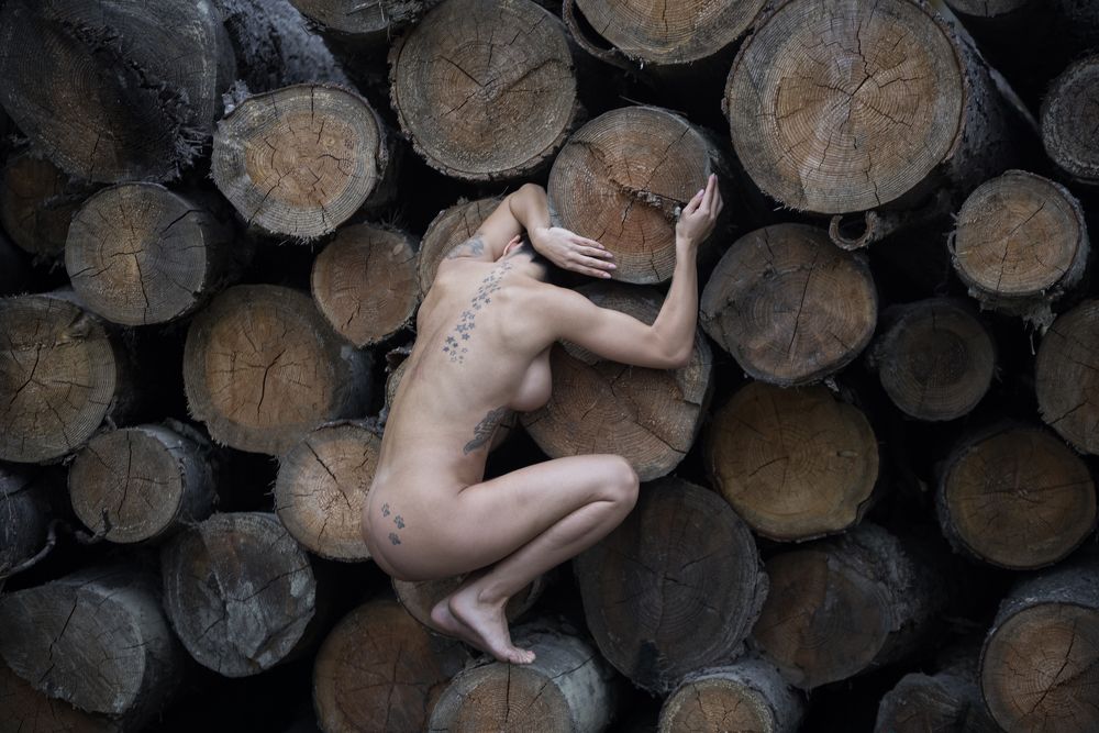 Фотография автора Ceausescu Adriana