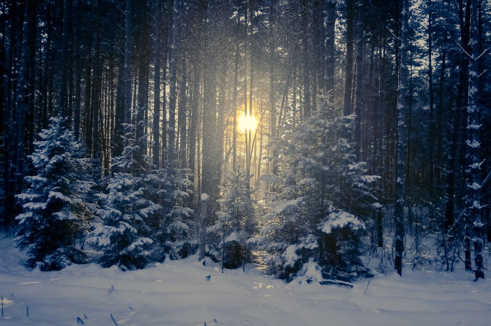 Photograph by Sasha Sudbina