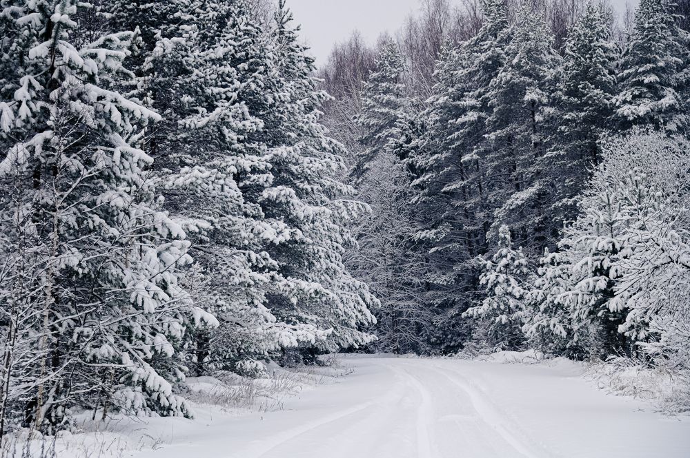 Дорога на Жупеево