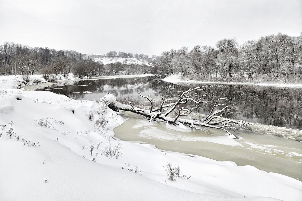 Photograph by Михаил Рассказ