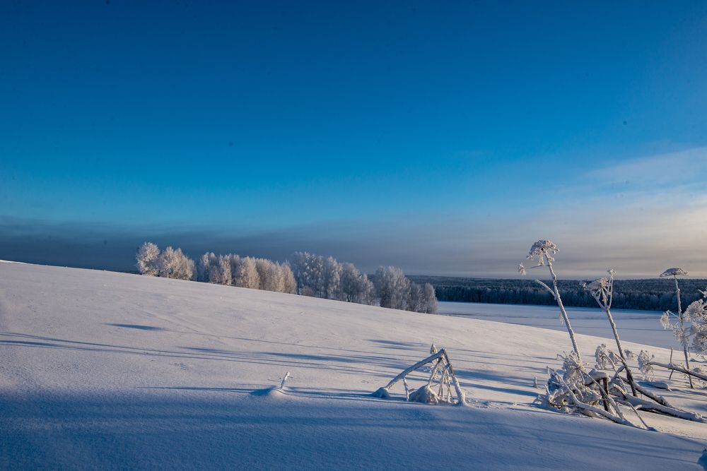 Photograph by Николай Грекалов