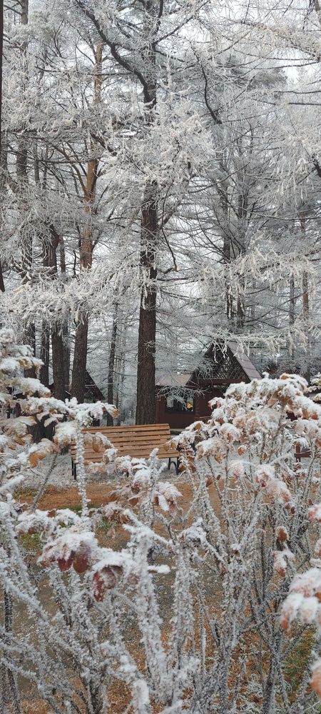 Photograph by Алена Марченко