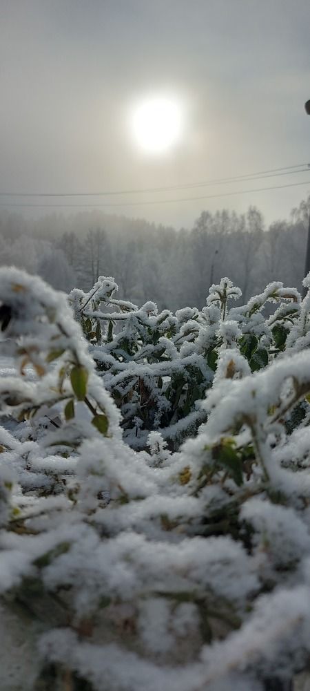 Photograph by Алена Марченко