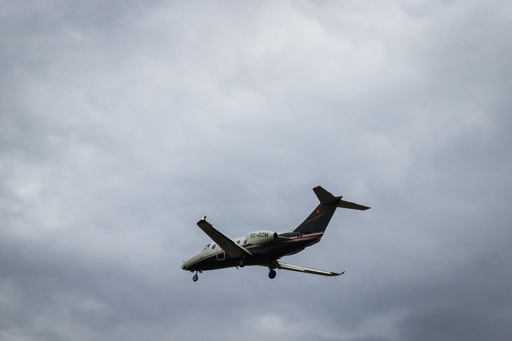 Photograph by iulia falo