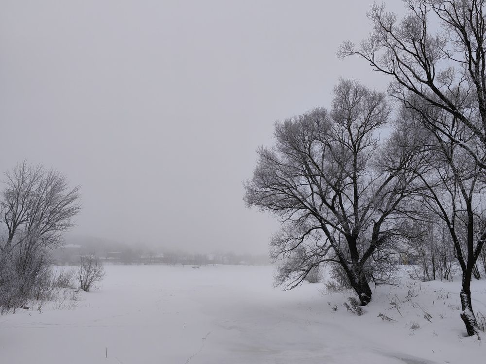 Photograph by Ольга Третьякова