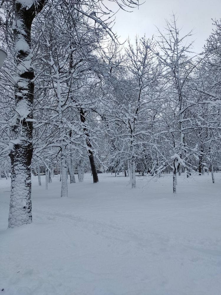 Photograph by Ivankina Elena