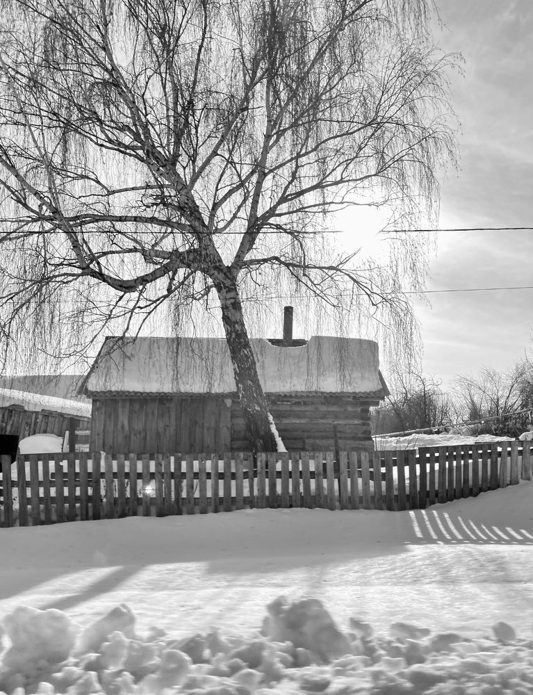 Фотография автора ГУЗАЛИЯ ГАНИЕВА