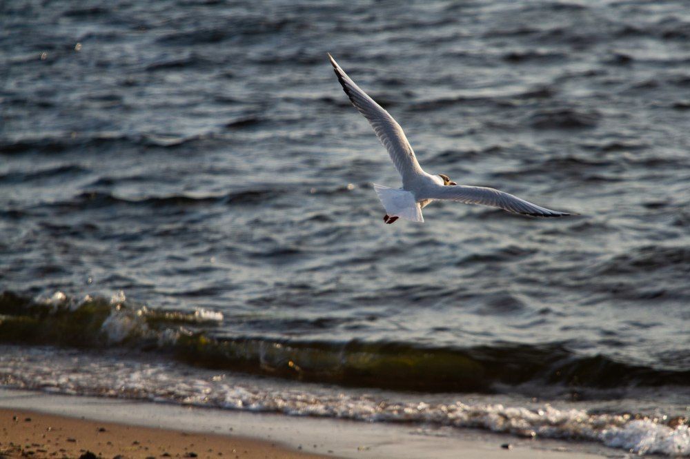 Photograph by Степан Орлов