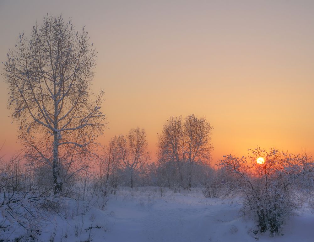 Photograph by Екатерина Дубровская