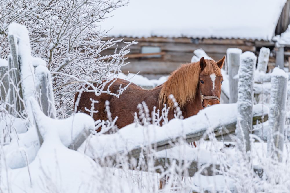 Деревенский мотив