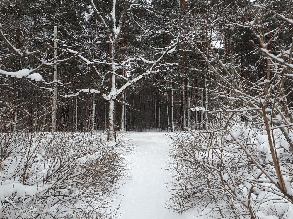 Photograph by Ирина Федорова