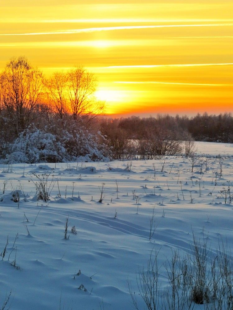 Photograph by Светлана Башаева