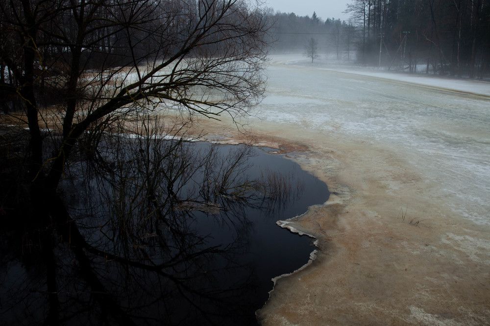Фотография автора Могилевцева Дарья