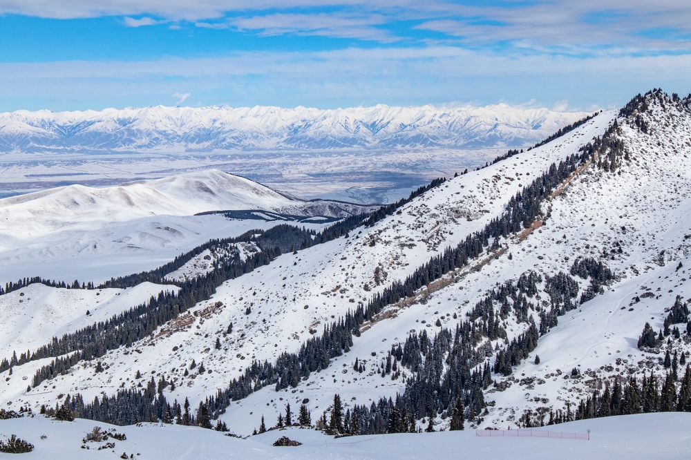 Фотография автора Van Gross