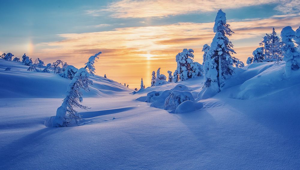 Photograph by Липецких Владимир