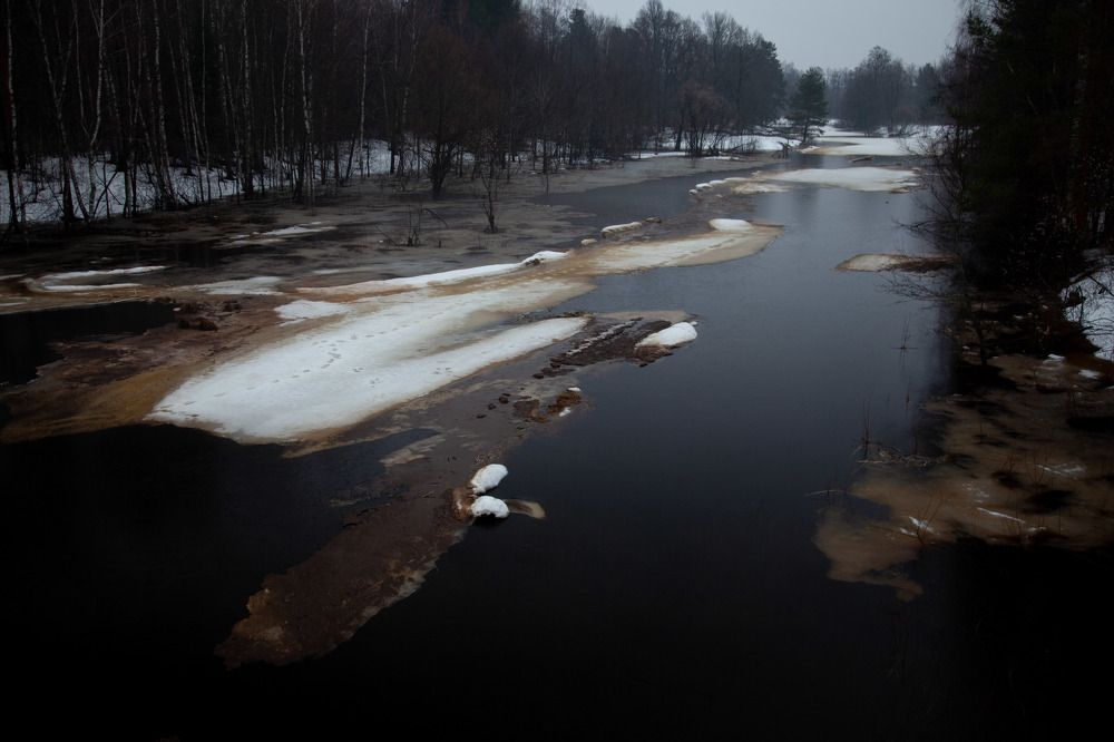 Фотография автора Могилевцева Дарья