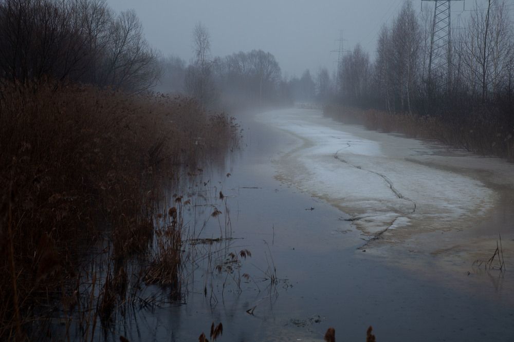 Фотография автора Могилевцева Дарья
