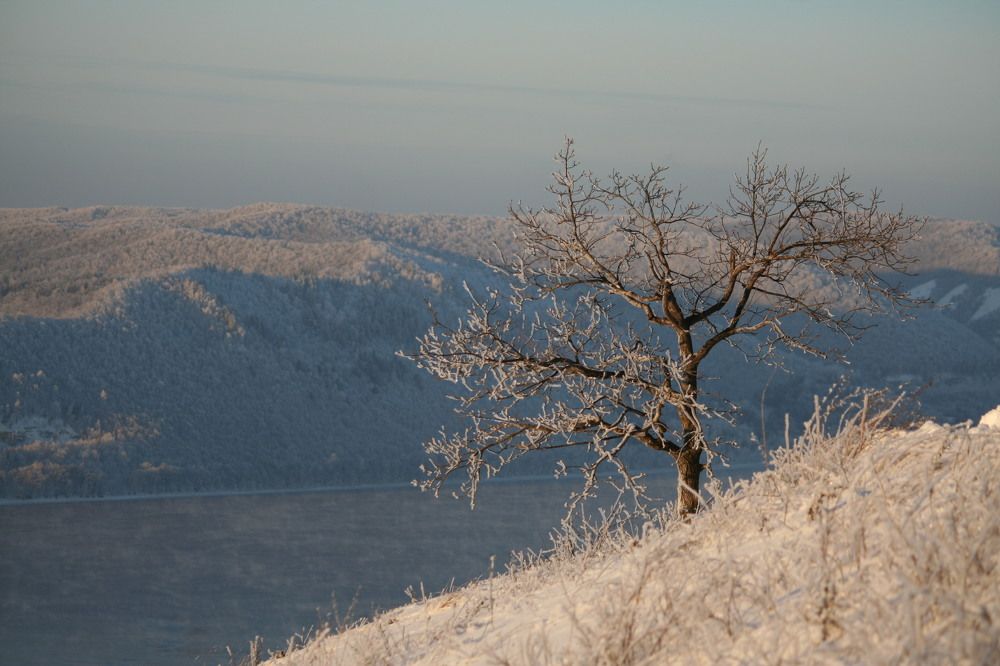 Фотография автора Татьяна Шебаршенко