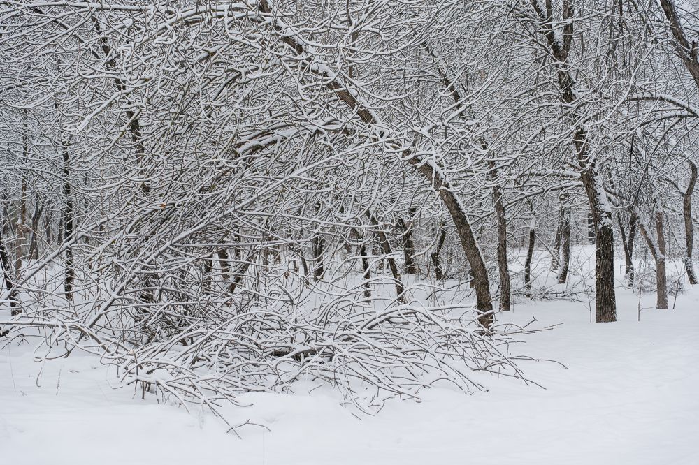 Photograph by Инесса Абрамова