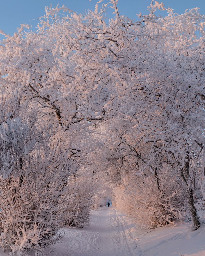 Зимняя сказка