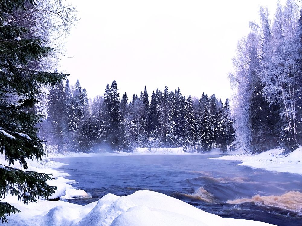 Winter in Karelia, -28С.