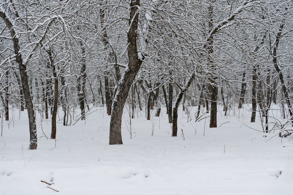Photograph by Инесса Абрамова