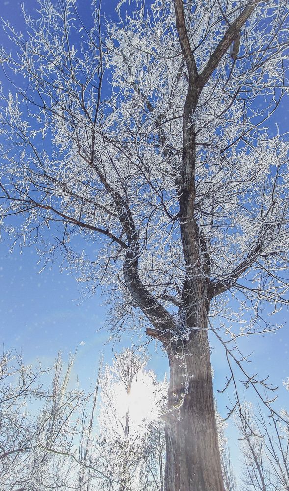 Фотография автора Анастасия Мамаева