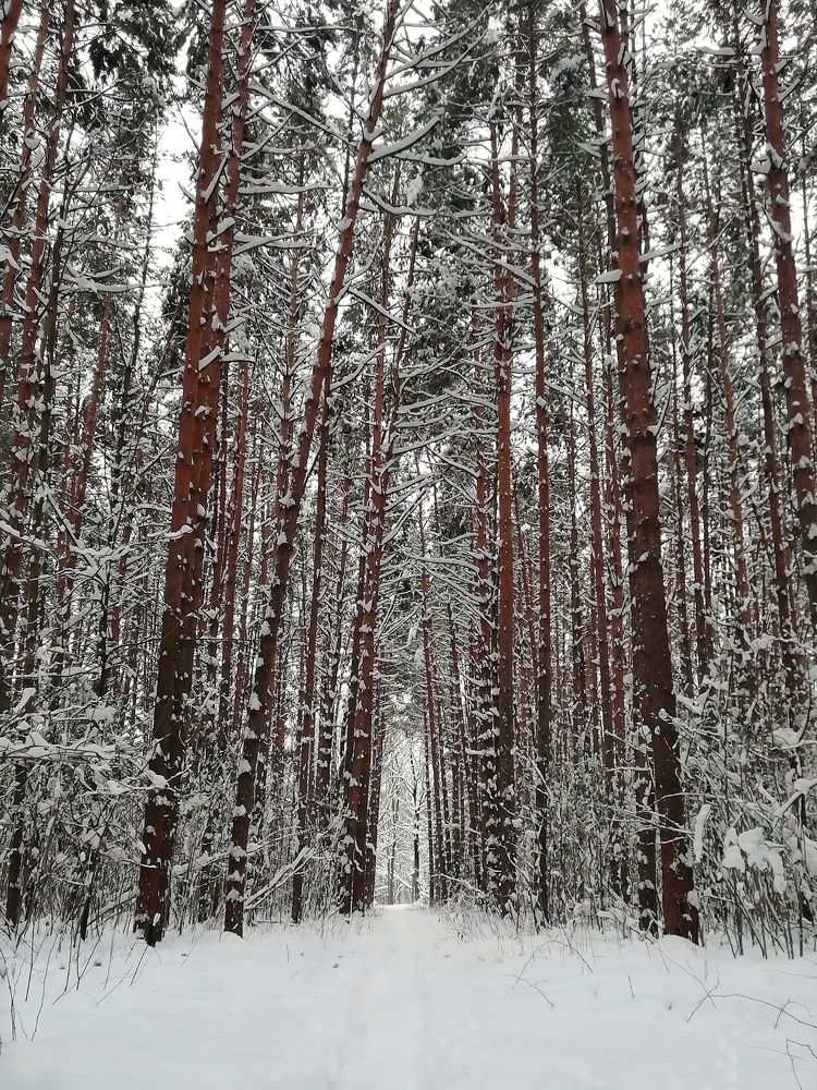 Photograph by Екатерина Чижевская