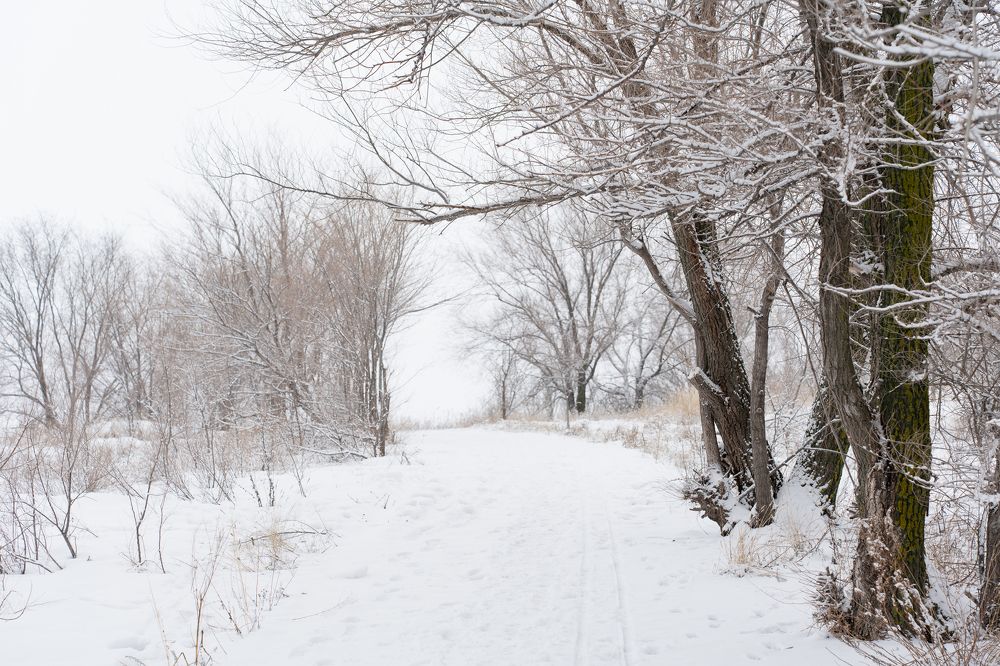 Photograph by Инесса Абрамова