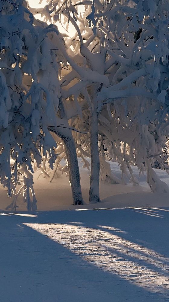 Photograph by Анна Пыхова