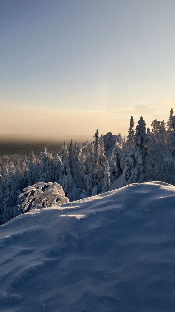 Photograph by Анна Пыхова