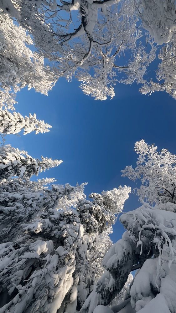 Photograph by Анна Пыхова