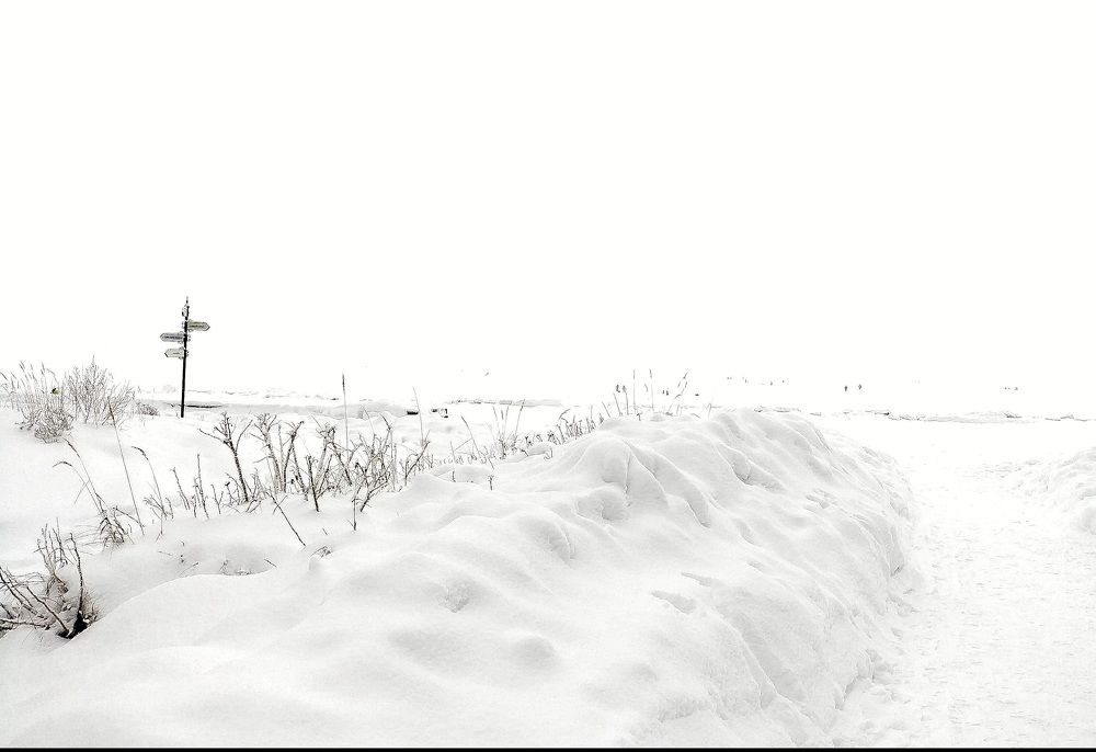 Photograph by Ирина Федорова