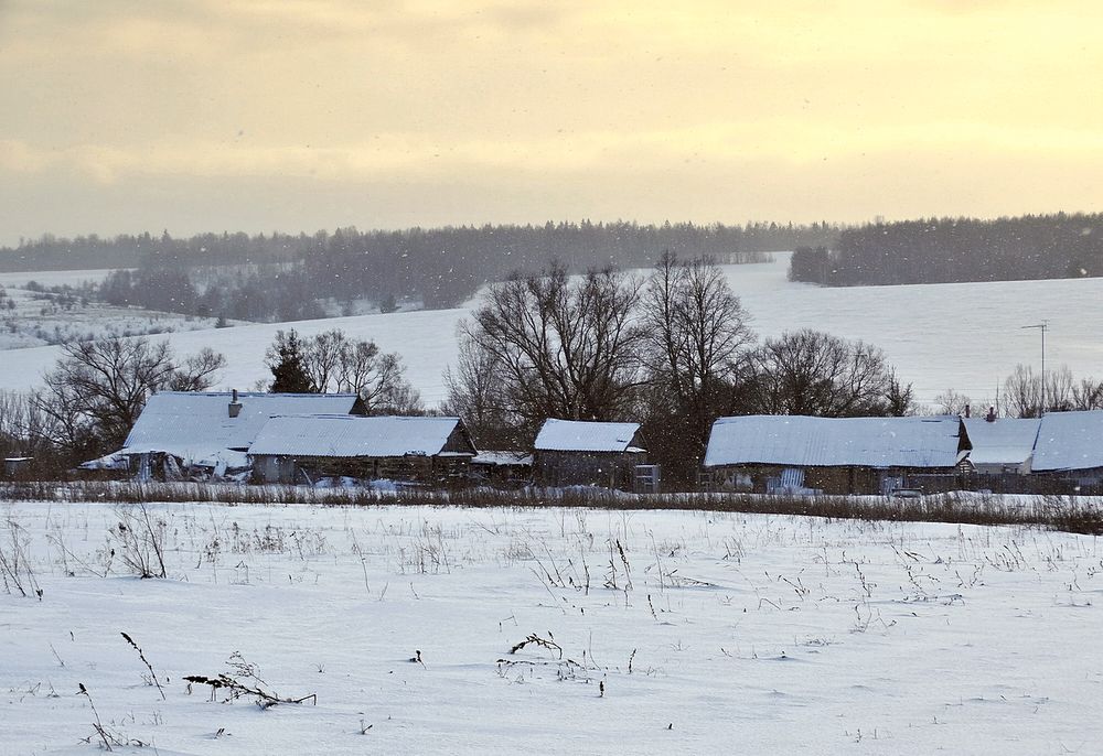 Зимой в деревне