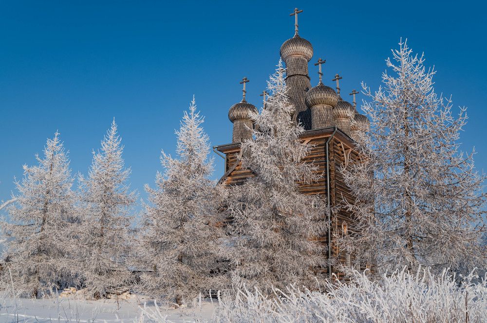 Серебряные елочки