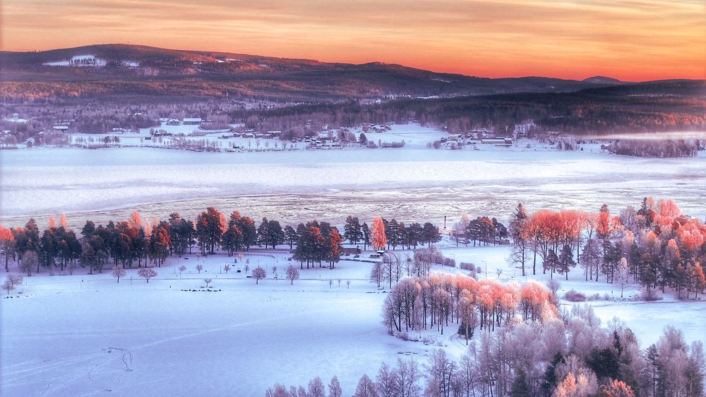 Photograph by Mohamad Ali