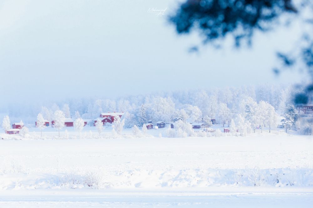 Photograph by Mohamad Ali