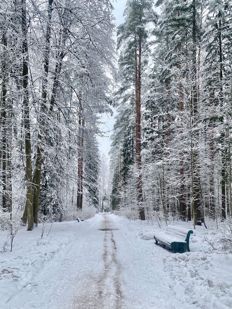 Photograph by Иованна Решетова