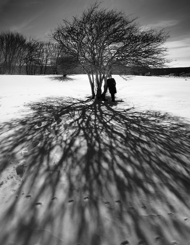 Photograph by Saeed Rezazadeh